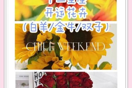 十二星座代表花