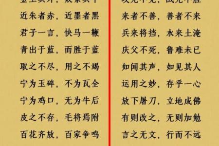 用八字成语