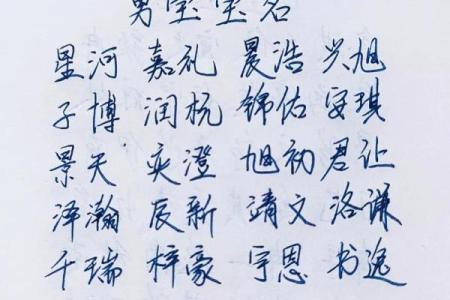 高分取名-2024年元旦节出生的宝宝八字起名字