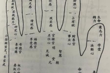 在线扫一扫测手相算命,扫一扫测手相算命免费