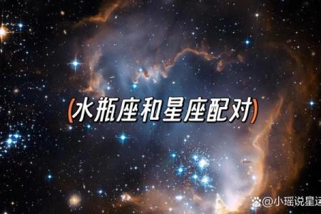 狮子座双鱼配对合适吗