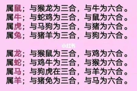 属相配对表