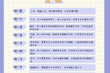 生肖配对看属狗属猴的婚姻怎么样