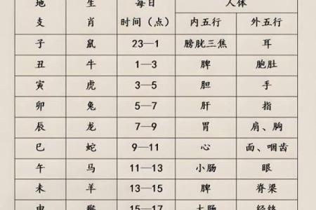八字基础，干支阴阳差异