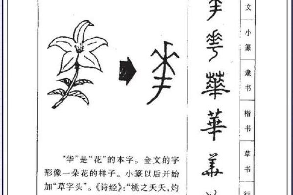 姓易的名人-姓名学-华易算命网姓名