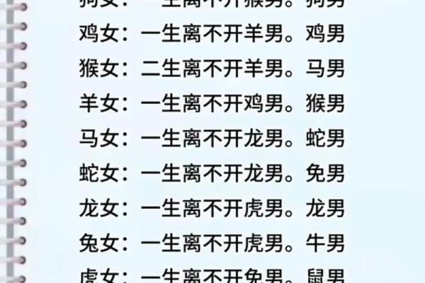 婚姻配对属蛇和属猪相克怎么办
