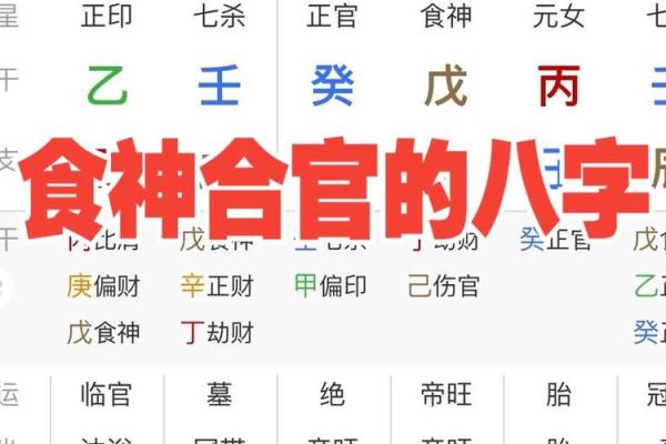 八字食神