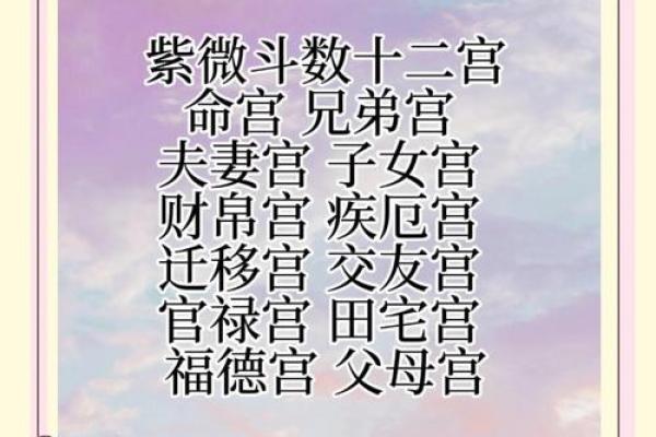 紫薇斗数厉害的人
