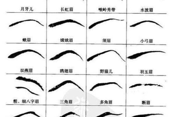 八字眉的女人命好不好风水解读