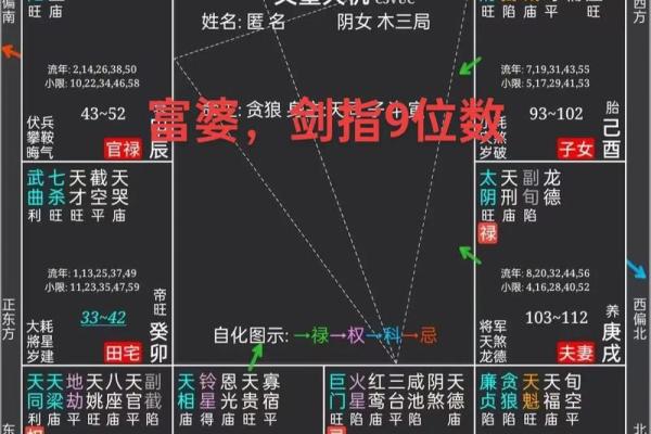 她只能作一名记者吗？紫微斗数实例解读