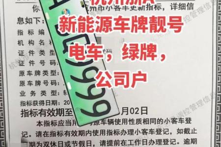 新能源车牌吉凶测试
