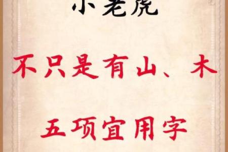 傍晚出生的属虎男孩如何起名，宜用什么字姓名