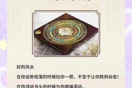 风水的意思_你的状态就是更好的风水什么意思