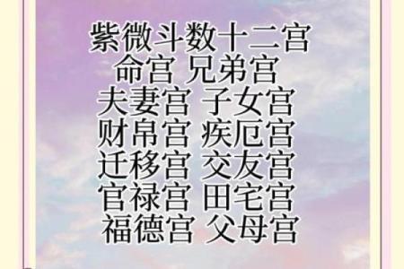紫薇斗数厉害的人