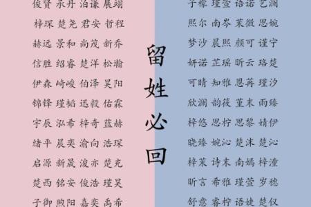 2019年7月25号卯时出生的女孩该怎么起名，五行是什么？姓名