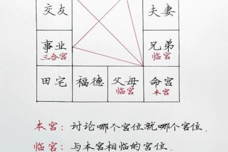 她只能作一名记者吗？紫微斗数实例解读