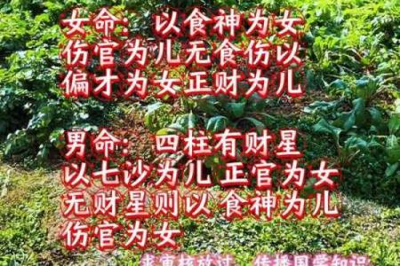 算命说孩子是童子命 要不要进行化解