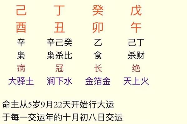 属猪男八字
