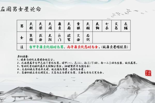 紫薇斗数应用