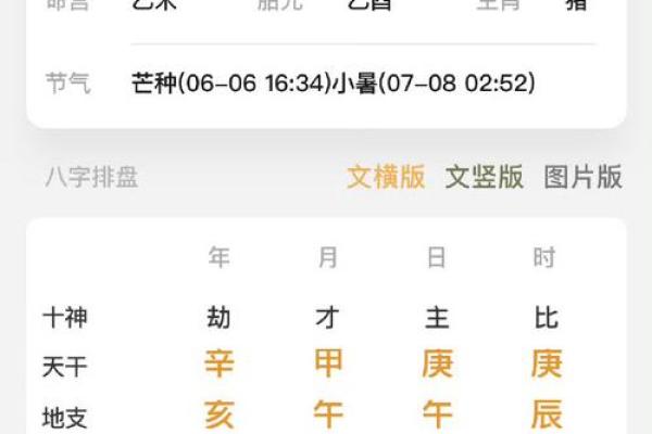 八字理论方法PDF下载，详解八字命理，求职择业必备！