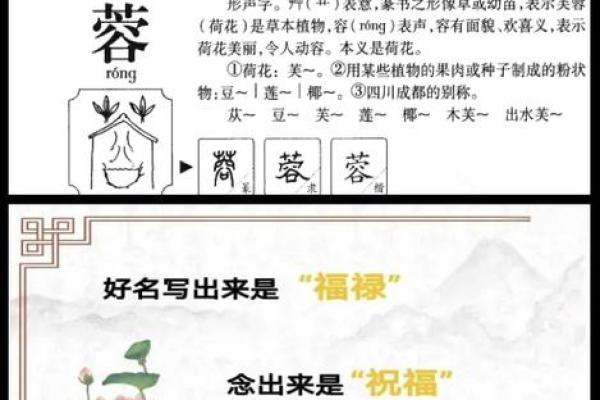 姓段干的名人-姓名学-华易算命网姓名