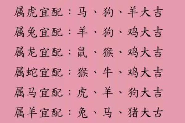 生肖配对查询男女