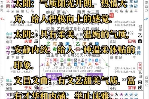 刘台柱紫薇斗数