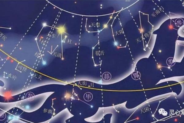 紫薇斗数科甲星