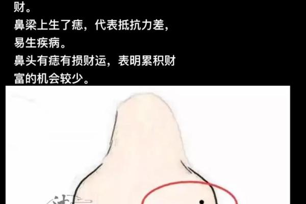 相面算命看见鼻孔好吗