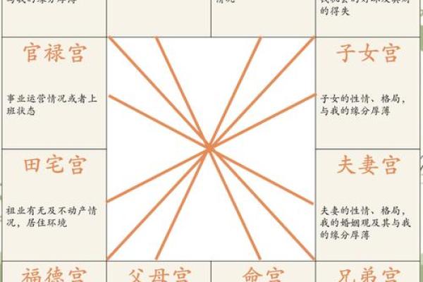 紫薇斗数怎样查天相