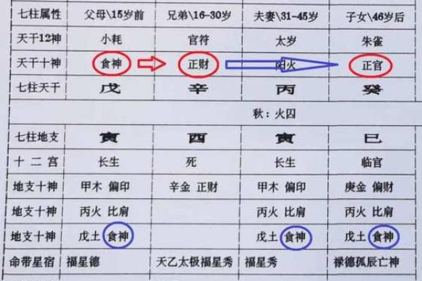 该怎样学批八字（5）十神是什么？