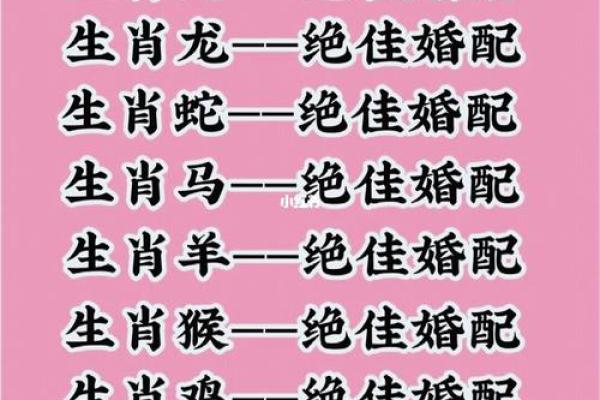 星座属相配对婚姻配对表大全 12生肖算命婚姻配对