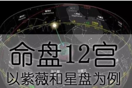 紫微斗数姻缘星 紫薇星盘姻缘？