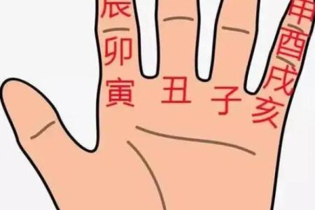 八字最好的命例是什么