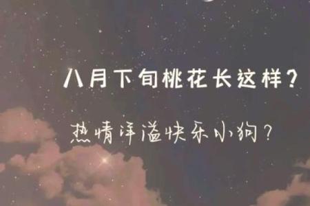 中秋前后12星座谁桃花最旺必看