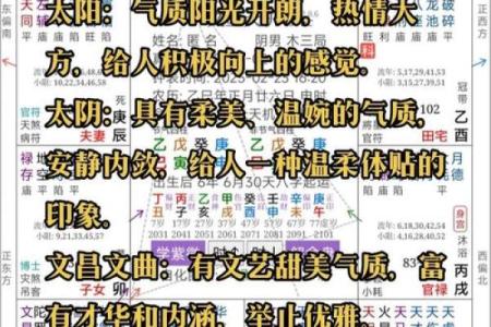 刘台柱紫薇斗数