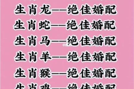 星座属相配对婚姻配对表大全 12生肖算命婚姻配对
