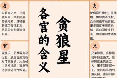 紫薇斗数岁驿星