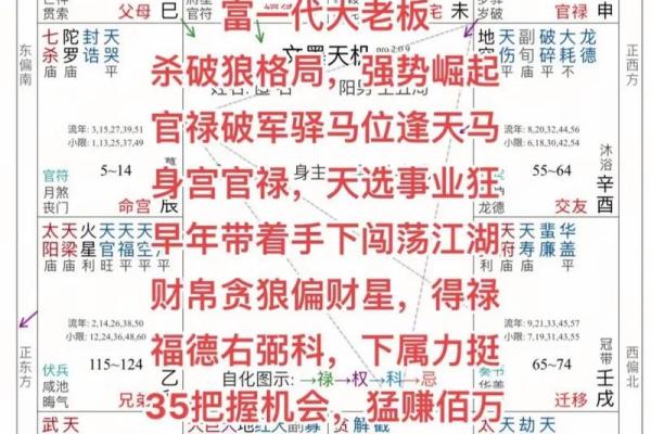 紫薇斗数煞星破局