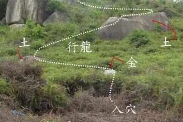 墓地风水，什么祖坟风水要调理