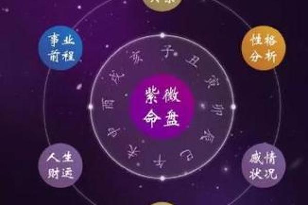 紫薇斗数导语