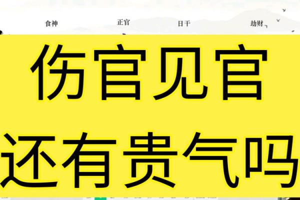 八字伤官见官男命
