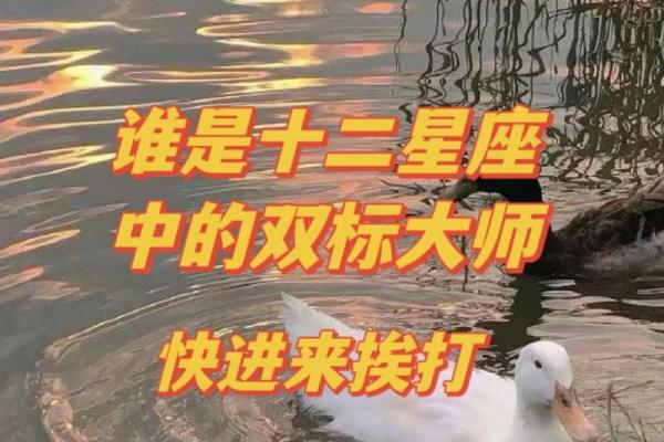 盘点12星男的双标排行恋爱谨慎
