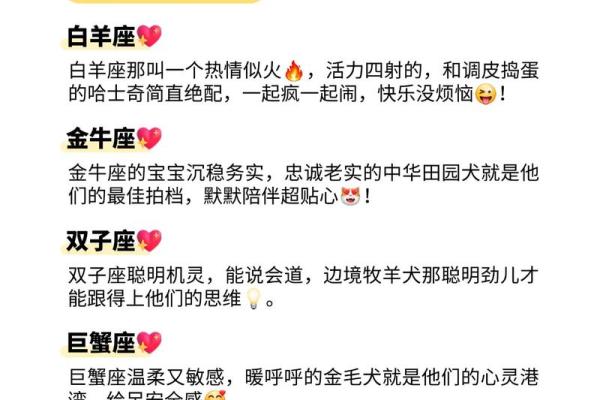 狗狗是否也有对应的星座呢