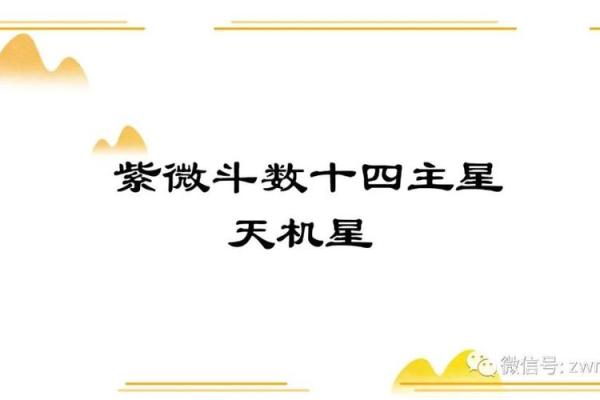 紫薇斗数中的星