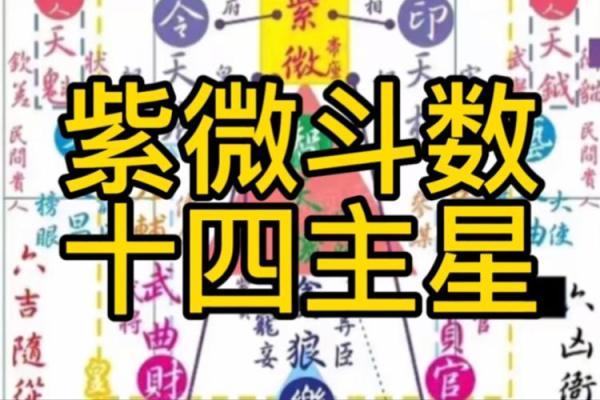 紫薇斗数飞禄
