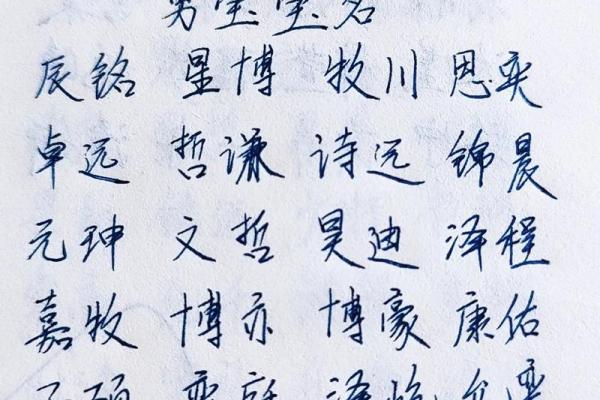 2019年3月25号丑时出生的男孩如何起名姓名