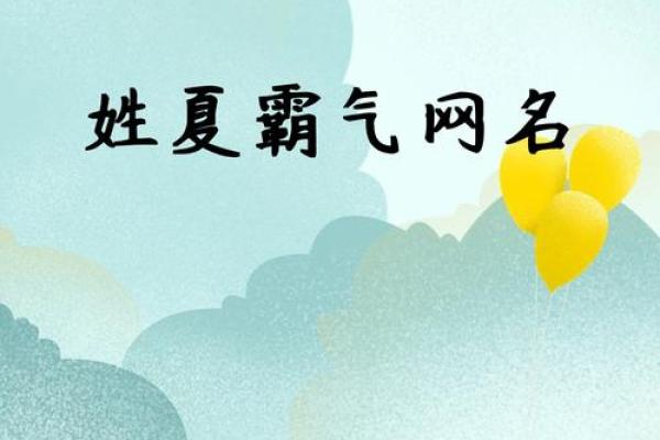 夏姓男孩名字大全-夏姓男孩起名字大全-夏姓名字大全姓名