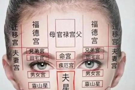 眼皮的面相解析 通过眼皮看面相算命