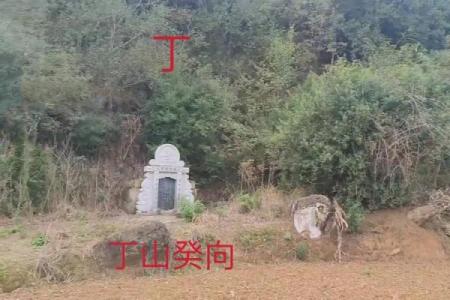巧断墓地风水